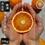 ふるさと納税 【真っ赤な高級柑橘
