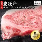 訳あり 豊後牛サーロインステーキセット5kg 250g