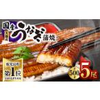 ふるさと納税 4001 鹿児島県大隅産うなぎ蒲焼5尾(500g) KN007-005-03 うなぎ ウナギ 鰻 うなぎ蒲焼 鰻蒲焼き ウナギ蒲焼 惣菜 総菜 魚類 魚.. 鹿児島県鹿屋市