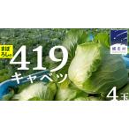 ふるさと納税 【 8月 上旬発送開始】 まぼろしの419キャベツ 4玉 幻のキャベツ419 きゃべつ 嬬恋村産キャベツ 幻のキャベツ419 産地直送 期間限.. 群馬県嬬恋村