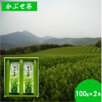 かぶせ茶 100g×2本セット
