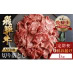 トキノ屋食品 A5等級 飛騨牛 切り落とし1kg