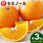 セミノール 約3kg
