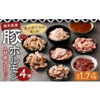 豚ホルモン4種&社長自家製甘辛タレセット