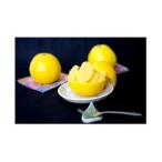 ふるさと納税 八幡浜産・河内晩柑10kg【訳あり】【D56-53】【配送不可地域：離島】【1508531】 愛媛県八幡浜市