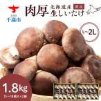 菌床 生しいたけ 900g×2