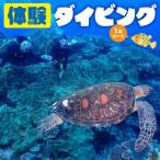 体験 ダイビング 1本コース C051-005