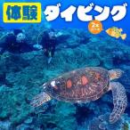 体験 ダイビング 2本コース C051-006