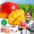ふじ農園の完熟マンゴー 2kg