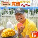 えみちゃん農園のプレミアム完熟マンゴー1キロ