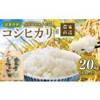 新米 令和8年産 コシヒカリ 20kg