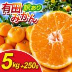 有田 みかん サイズ混合 2S~2L 5kg+250g