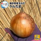 玉ねぎ ケルたま 10kg