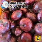 玉ねぎ ケルたまルビー 5kg
