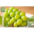 ふるさと納税 シャインマスカット 信州上田産 2房〜3房 約1kg ぶどう 葡萄 ブドウ マスカット 1kg 果物 くだもの フルーツ デザート 旬の果物 旬.. 長野県上田市
