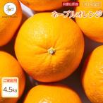 森本農園の手選別ネーブルオレンジ 4.5kg