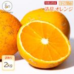 訳あり 森本農園の手選別 小粒清見オレンジ 約2kg