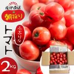 トマト 2kg