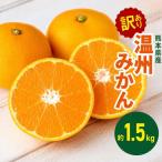 訳あり 温州みかん 約 1.5kg