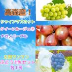 太陽サンサン ぶどう3色セット 各1房