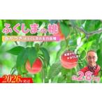 ふるさと納税 No.2896【限定150箱】ふくしまのもも　あかつき 約2.8kg【2026年発送】 福島県福島市