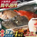 対馬産 鮮魚 詰め合わせ 4種前後