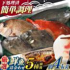対馬産 鮮魚 詰め合わせ 5種前後