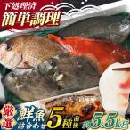 対馬産 鮮魚 詰め合わせ 5種前後
