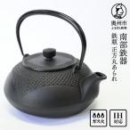 南部鉄器 鉄瓶 正方丸あられ 0.7L