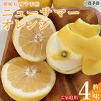 ニューサマーオレンジ 約4kg
