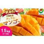 ふるさと納税 【2026年6月から順次発送・訳あり】アップルマンゴー1.5kg(3〜6玉)【配送不可地域：離島】【1494040】 沖縄県西原町