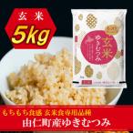 令和8年産 ゆきむつみ 5kg