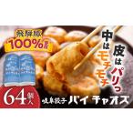 ふるさと納税 餃子 岐阜餃子64個入り [ANEY001] 餃子 岐阜県岐阜市