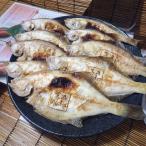 焼魚 焼き魚 魚屋hide 鳥の海のおまかせ詰合せ