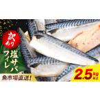 ふるさと納税 【訳あり】木更津魚市場直送!不揃い塩サバフィーレ 2.5kg以上 KJ011 塩サバ 塩さば 塩鯖 サバ さば 鯖 訳あり 訳アリ 訳有 切身.. 千葉県木更津市
