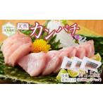 屋久島産 天然カンパチ 約1.5kg