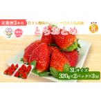産とちおとめ320g×2パック 3Lサイズ