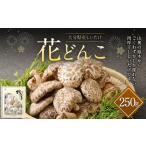 大分産 しいたけ 花どんこ 250g