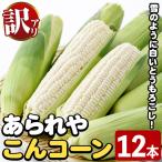 訳あり 白いとうもろこし あられやこんコーン 12本