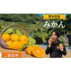 河内みかん堂のみかん4kg+傷み補償付き