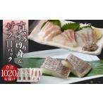 真鯛の切り身&サク 計1020g