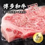 博多和牛サーロインステーキセット 5kg