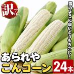 訳あり 白いとうもろこし あられやこんコーン 24本