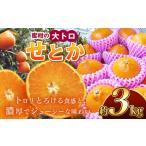 せとか 熊本玉名産 約3kg