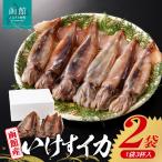 函館産いけすイカ スルメイカ 3杯