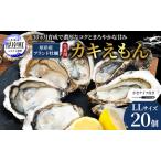 牡蠣 LLサイズ 20個