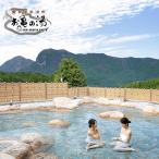 大 温泉 お亀の湯 温泉入浴券2枚セット