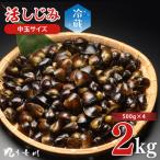 活しじみ 中玉 2kg