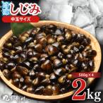 しじみ 冷凍 中玉 2kg