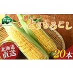 朝どり 直送とうもろこし 20本前後